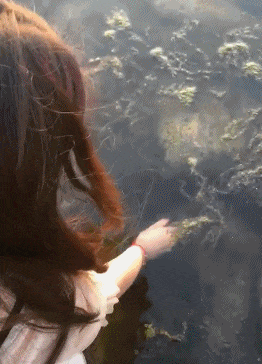 功能|搞笑gif: 男人的功能在不断进化, 这次又多了一个功能!