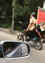 大客户|搞笑GIF：大客户，这绝对是个大客户！