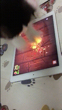 白米饭|搞笑GIF动图:大哥,你就是传说中只吃白米饭的白菜侠吧!