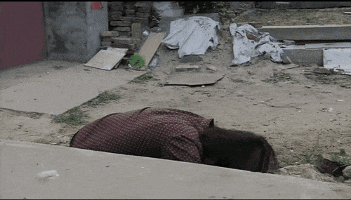 提前量|搞笑GIF：老板，你一直盯着我看什么？我长的帅吗？