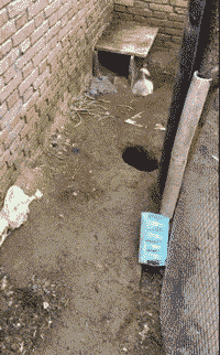 侄女|搞笑GIF趣图:大爷，看着你这样，单身的我心里很受伤啊！