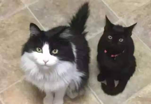 大夫|开心一刻笑话：突然，娃在下坡时，摔倒了，然后马上爬起来