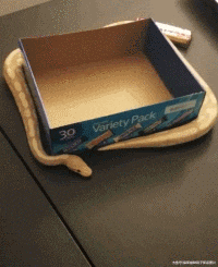 大爷|搞笑GIF:大爷,你这比例是多强悍了!支撑得起你这样玩!