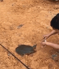 皮管|搞笑GIF: 事实证明, 有车不怕找不到女朋友