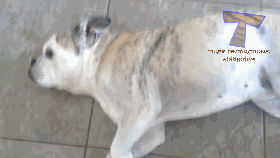 嫁妆|新娘你是哪里人啊,这一套嫁妆我真是服了