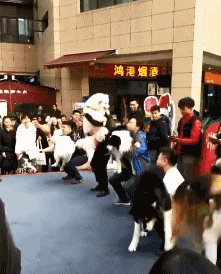 美女|搞笑GIF趣图：美女你顶着两个这么大的压力还能跳过去，我服了