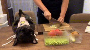 淡定|搞笑GIF:淡定点啊,咱们可是大老远跑过来的