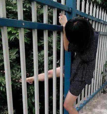 橘子|搞笑动态图GIF:从来没想过橘子原来可以这样吃