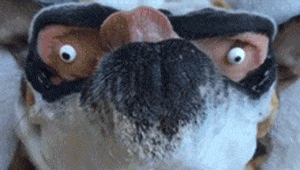 妹子|搞笑GIF：看了妹子的表情, 我有一个大胆的想法