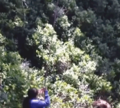 红灯|爆笑GIF图:我就想知道,这样闯红灯会被扣分吗?