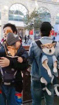 刘乡长|十则开心小笑话：笑口常开，好运来。