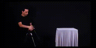 可不是|搞笑动态图GIF: 猫有九条命可不是吹的