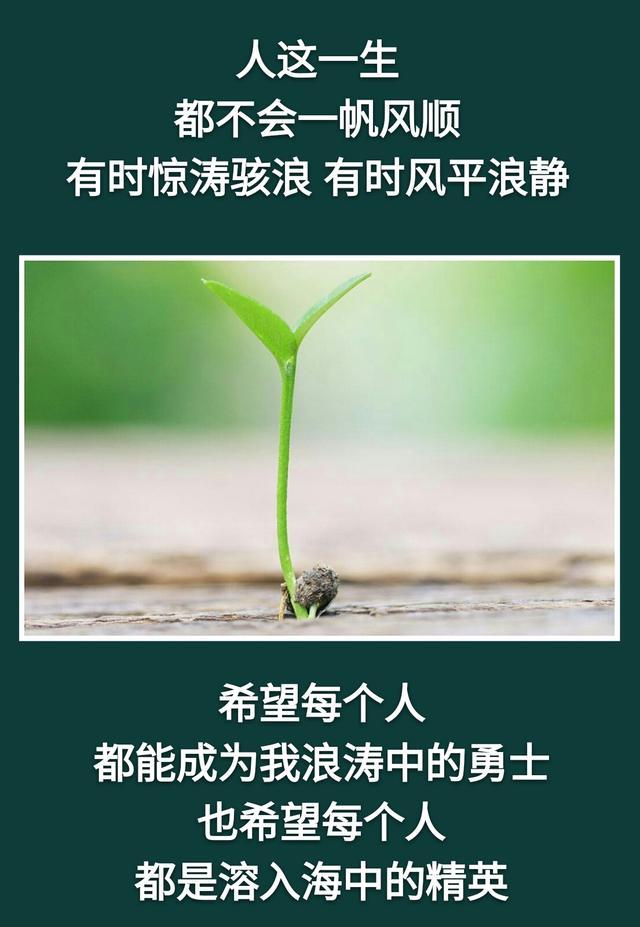 人这一生,没有人会一帆风顺.