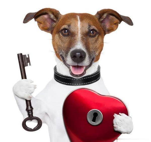 不好|轻松一笑：上台的都是帅哥和美女，你就别去拖人家后腿了！