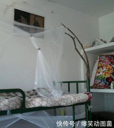 蚂蚁|搞笑GIF趣图:姐惨了,蚊子提着灯笼来找我们了