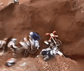 火鸡|搞笑gif: 这是戴的假发吗！