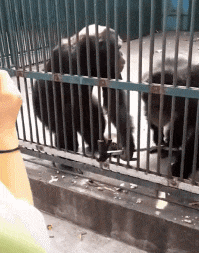 调皮|孩子别调皮，快还给姐姐！