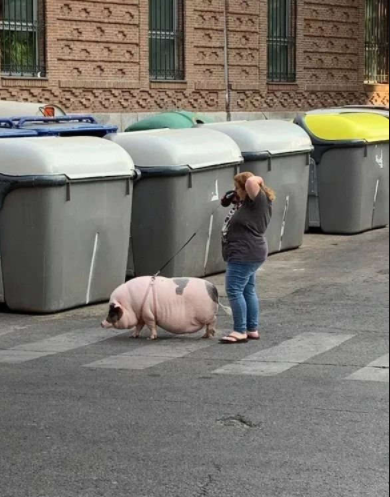 老公|前任大婚,租了个空姐当女伴,带去后新郎脸都绿了…