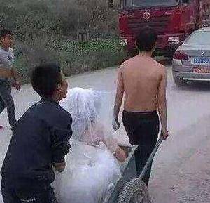 小推车|爆笑图片: 妹子,你吃烧烤的姿势一般人比不了啊