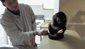 无从下手|搞笑GIF: 摔跤的新技能，让你无从下手