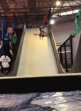 这是|搞笑GIF：这是一只不一般的公鸡，镇定自若