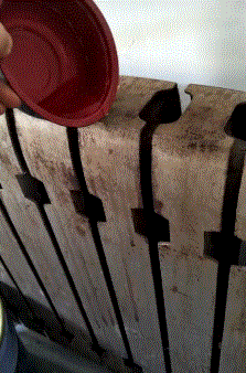 败事有余|搞笑GIF趣图:我竟然一开始没有发现