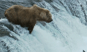 面膜|搞笑GIF：家里有矿啊，这样用面膜简直太浪费了