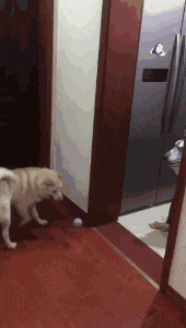 一般|危险动作，请勿轻易模仿，这技术不是一般人能够驾驭的！