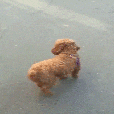 风风雨雨|搞笑GIF:真幸福,爷爷奶奶经历了风风雨雨,还如此相爱