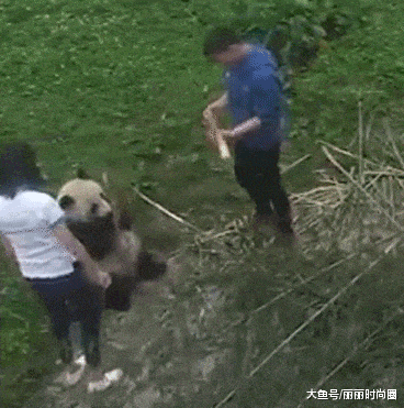 草地|搞笑GIF：这草地有点刺激啊。。。