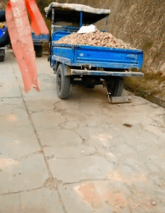 哈拉|搞笑GIF:这老板也是个狠人！