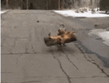 洒水车|搞笑GIF:这漂移,很专业啊!