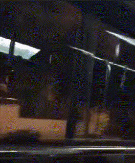 眼熟|搞笑GIF：妹子，你这碗怎么越看越眼熟呢？