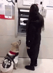 没想到|搞笑GIF:你别碰我,我自己知道怎么玩