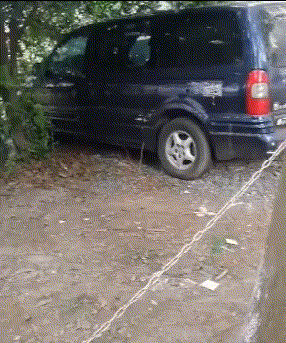 子真|搞笑GIF趣图：妹子，你养的狗子真可爱，能背着篓子逛超市