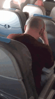 士奇|搞笑GIF趣图:哈士奇整天就知道玩,金毛已经开始干活了