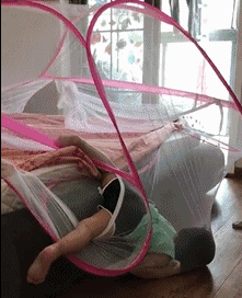 女朋友|这些搞笑段子你看过几个？最近好像流行互粉，粉起来！