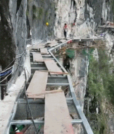 妖精|搞笑GIF: 好迷人的妖精, 不知是由什么幻化而成的