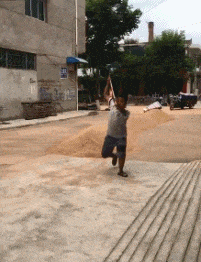 赵云|搞笑GIF:你曾经是不是也有同样的经历
