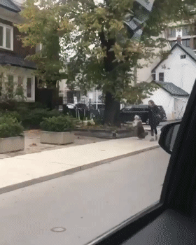 技巧|搞笑gif趣图:撩妹小技巧,拿走不谢