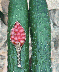 电梯|搞笑GIF：这是黄瓜出了轨，还石榴变了心？