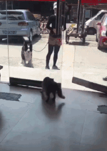 臭美|搞笑GIF：你怎么那么臭美啊！看我敷面膜，也要敷！