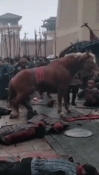 变性|每日一笑：男生用 AI 变性换脸之后…