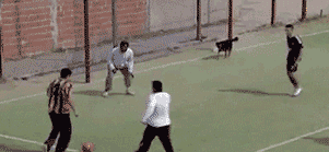 尼玛|每日笑到半疯的二十三张（NO0044）