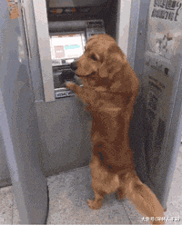 洗衣机|GIF搞笑趣图: 你要取多少？