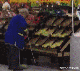 愚蠢|搞笑GIF: 猫：哼！果然是愚蠢的人类~