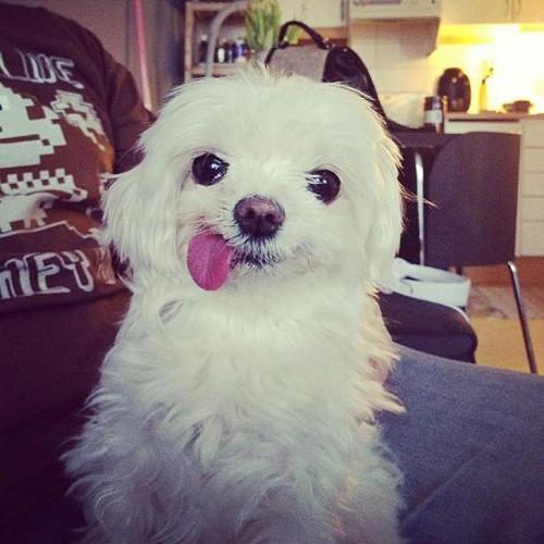 老婆|开心一刻:昨天,我下班坐公交车回家。