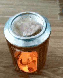 只要功夫深|搞笑GIF：我有点懵呀！