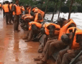 男人|男人想娶日本女人, 却害怕娶到女主角