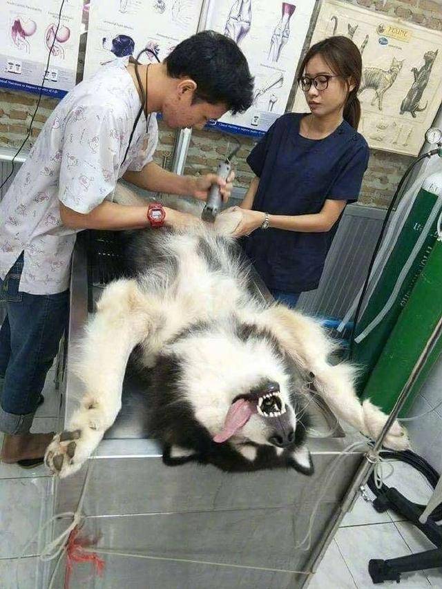 设计方|9张“笑点”满满的图片，这人生，每天都在经历着“尴尬”